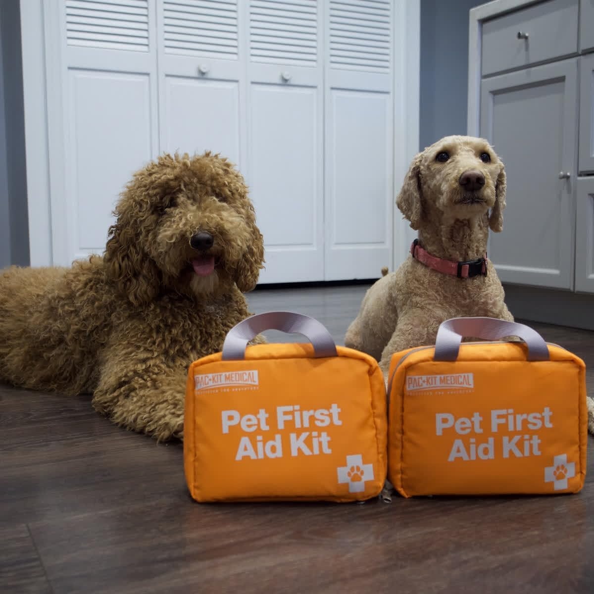 image:imagePacKit Pet First Aid Kit for Dogs Cats and Other Animals in SoftSided Organized Zipper Case 48 PiecesLarge