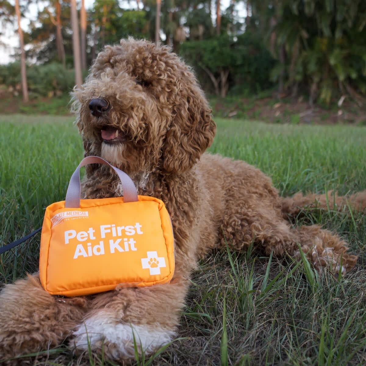 image:imagePacKit Pet First Aid Kit for Dogs Cats and Other Animals in SoftSided Organized Zipper Case 48 PiecesLarge